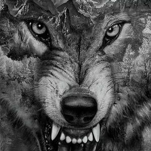 Meet your Posher, Timothy